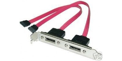 Internes 2x SATA zu eSATA II 3GB Kabel