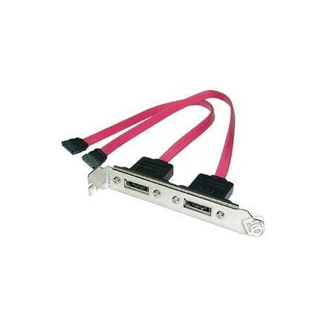 Internes 2x SATA zu eSATA II 3GB Kabel