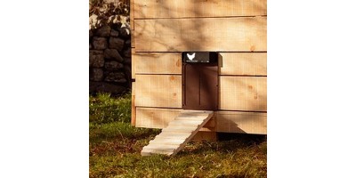 Automatic door for hens