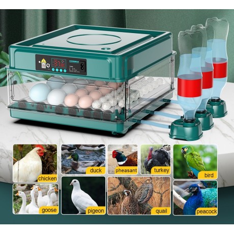 Automatic incubator for 15 eggs