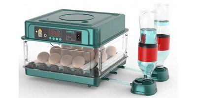Automatic incubator for 9 eggs