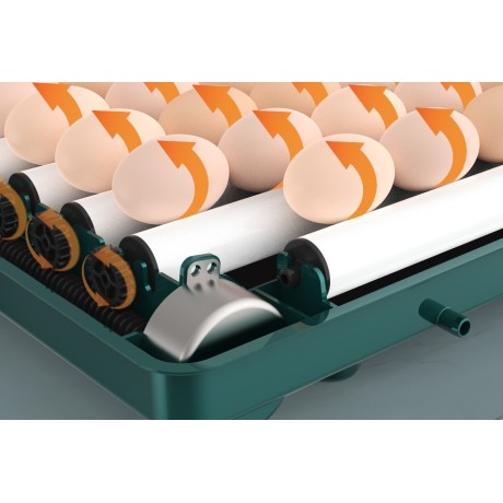 Automatic incubator, hatcher 24 eggs, hen