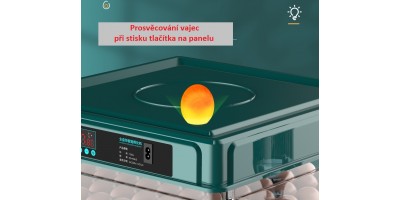 Automatický inkubátor, líheň 24 vajec, slepice