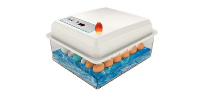 Incubator, hatchery 20 hen eggs on a waterbed