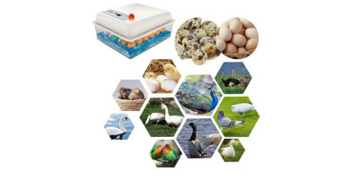 Inkubátor, líheň 20 vajec slepice na vodním lůžku