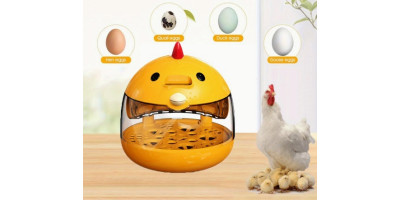 copy of Automatic incubator, hatchery 48 eggs