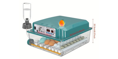 Intelligenter automatischer Inkubator, Brüterei für 36...