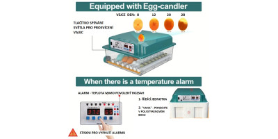 copy of Automatic incubator, hatchery 48 eggs
