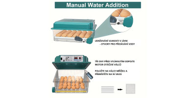 copy of Automatic incubator, hatchery 48 eggs