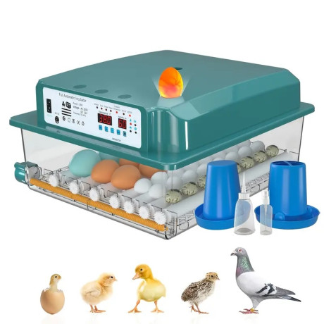 copy of Automatic incubator, hatchery 48 eggs