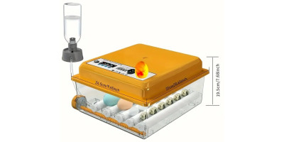 copy of Automatische...