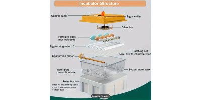 copy of Automatische Brutmaschine, Brutapparat, 16 Eier neu