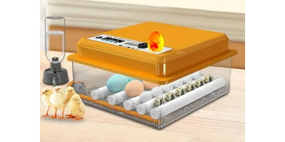 copy of Automatische Brutmaschine, Brutapparat, 16 Eier neu