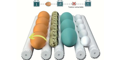 copy of Automatische Brutmaschine, Brutapparat, 16 Eier neu