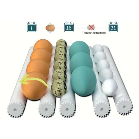 copy of Automatic hatchery, incubator, 16 eggs new