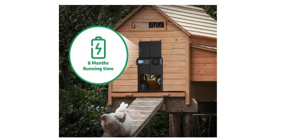 Hühnerklappe aus Aluminium mit Zeitschaltuhr und Einklemmschutz